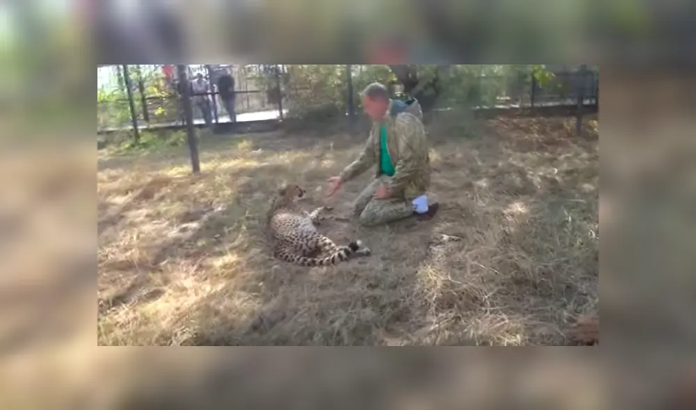 Desliza hacia la izquierda para ver el emotivo reencuentro del guepardo con el hombre. Video viral de Facebook. Desliza hacia la izquierda para ver el emotivo reencuentro del guepardo con el hombre. Video viral de Facebook.