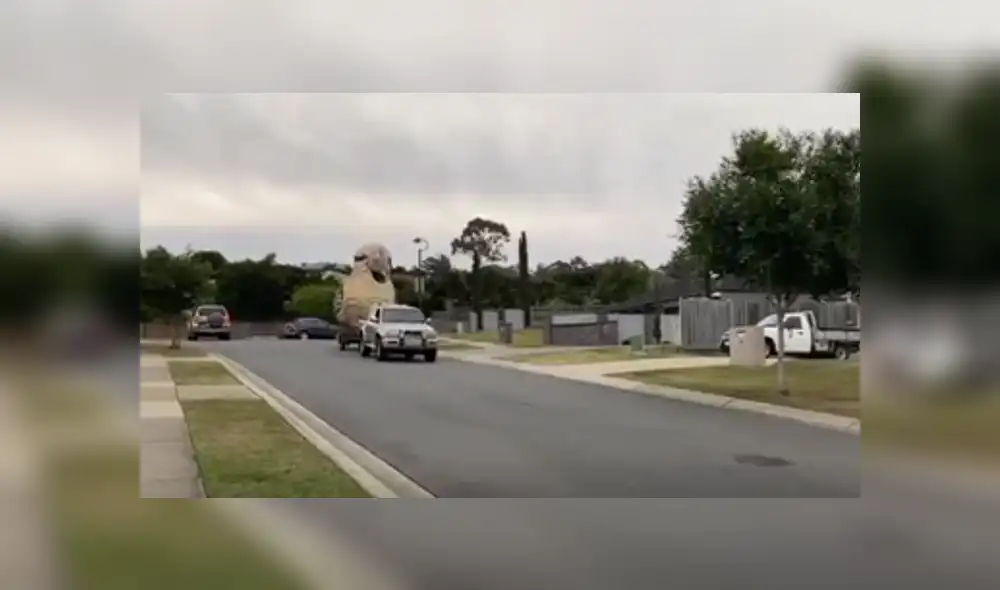 A través de Facebook se hizo viral la gigantesca escultura que hizo un hombre durante la cuarentena.
