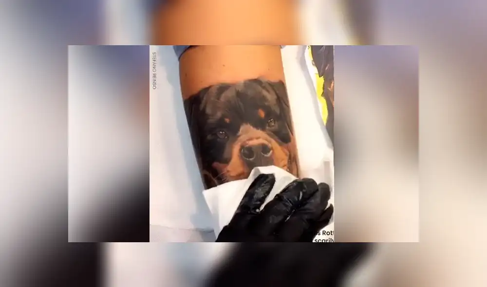 Desliza para ver las imágenes más sorprendente del video que se hizo viral en Facebook. Desliza para ver las imágenes más sorprendente del video que se hizo viral en Facebook.