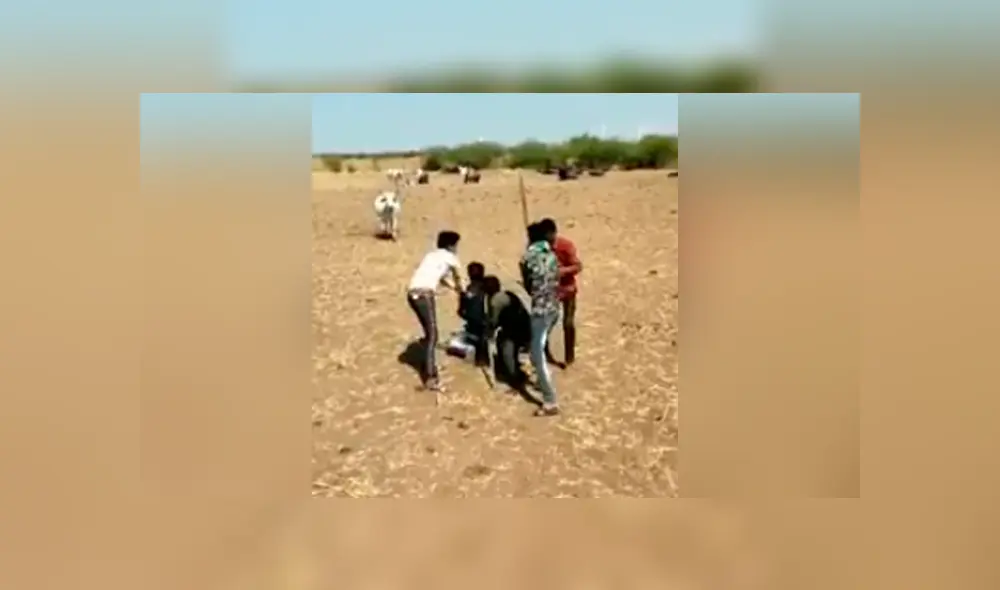 Vía Facebook. Una vaca vio que su dueño estaba en apuros y no dudó en ir a su rescate. Vía Facebook. Una vaca vio que su dueño estaba en apuros y no dudó en ir a su rescate.