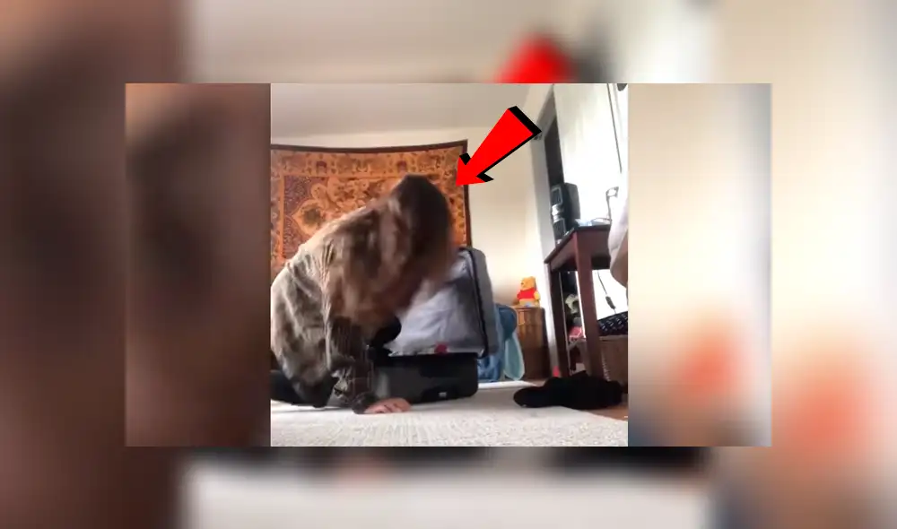 Youtube viral: Planea asustar a su novio con broma, pero su gato la ataca ferozmente y arruina su plan [VIDEO]