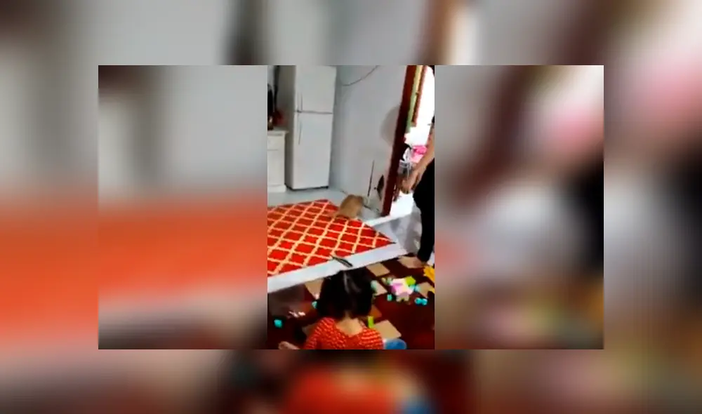 Desliza las imágenes para apreciar el método que aplicó una familia para ayudar a su gato a cazar un pequeño reptil. Foto: Captura.