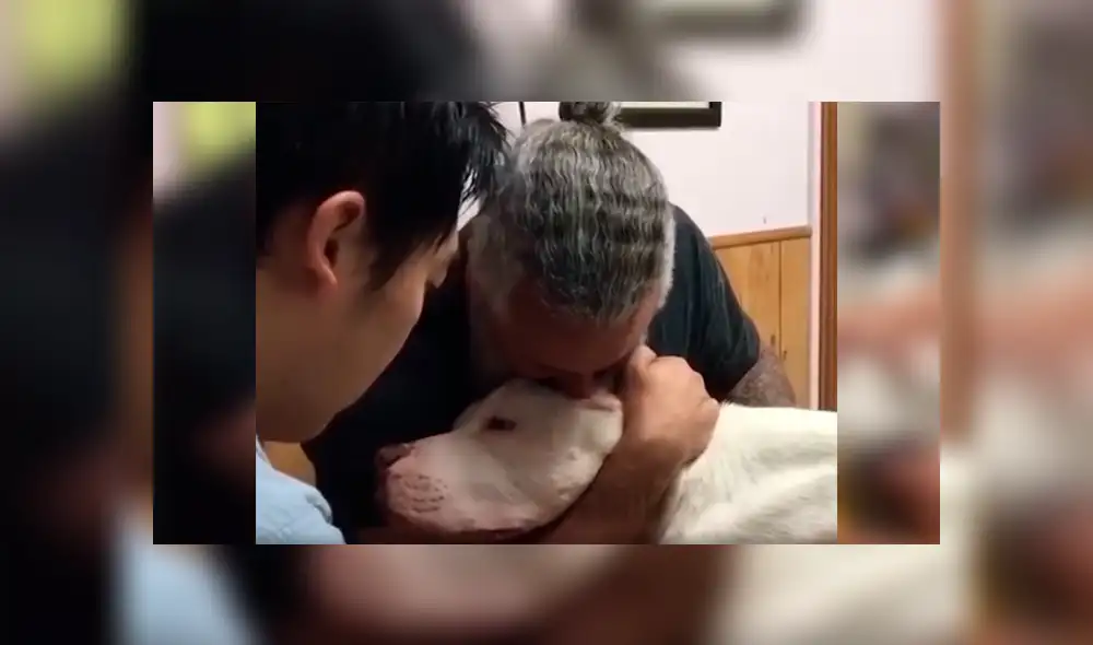 Video es viral en Facebook. El dueño del can rompió en llanto y protagonizó una conmovedora escena al darle el último adiós a su fiel perro que lo había acompañado por 14 años