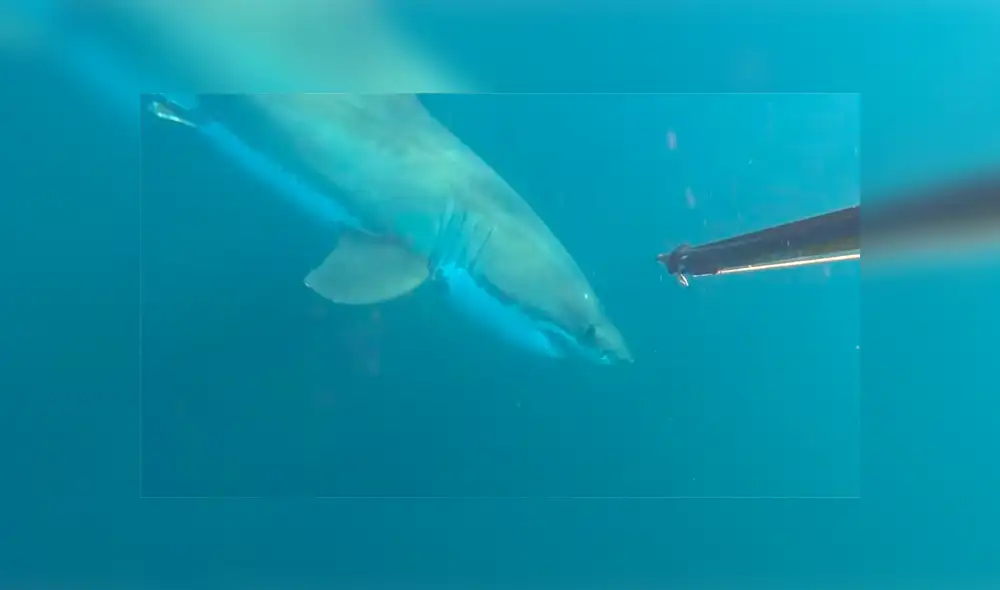 Desliza para ver los momentos más aterradores del video que se hizo viral en YouTube. Desliza para ver los momentos más aterradores del video que se hizo viral en YouTube.