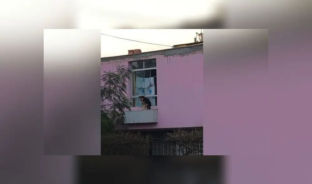 Foto: Facebook Foto: Facebook