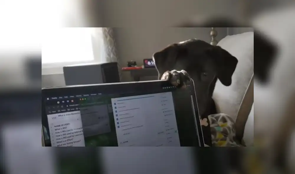 Desliza hacia la izquierda para ver más del video viral. Fotocaptura: YouTube Desliza hacia la izquierda para ver más del video viral. Fotocaptura: YouTube