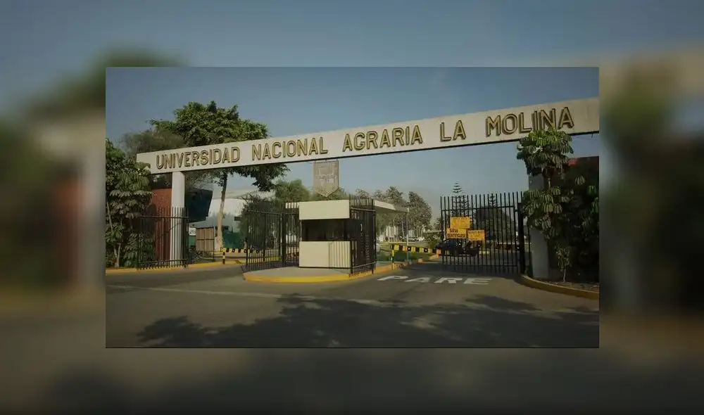 ¿Interesado en estudiar en la Agraria? Universidad da detalles sobre sus becas