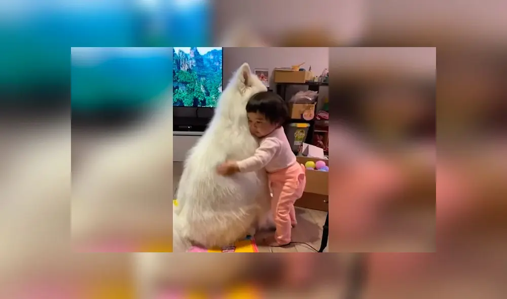 Desliza las imágenes para ver la emotiva escena que registró una madre entre su bebé y su mascota. Foto: Viral Press