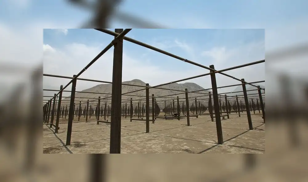 ROJ es atípico e inusual a simple vista, debido a su inmensa antena que está conformada por más de 18 mil dipolos y cuyo tamaño es equivalente a 10 canchas de fútbol. (Foto: IGP)