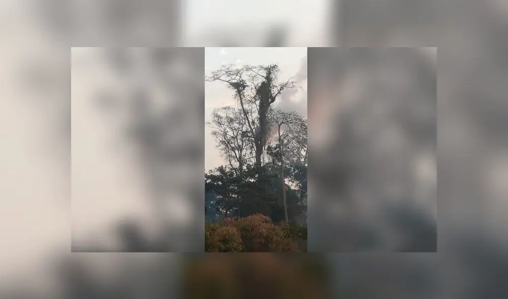 COER atendió este sábado seis incendios forestales en Iñapari, Iberia, Tampopata, Laberinto e Inambari. (Foto: Alcaldía de Iñapari)