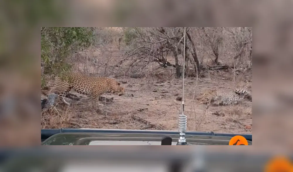 Desliza para ver los detalles del video viral de YouTube. Foto: Captura.