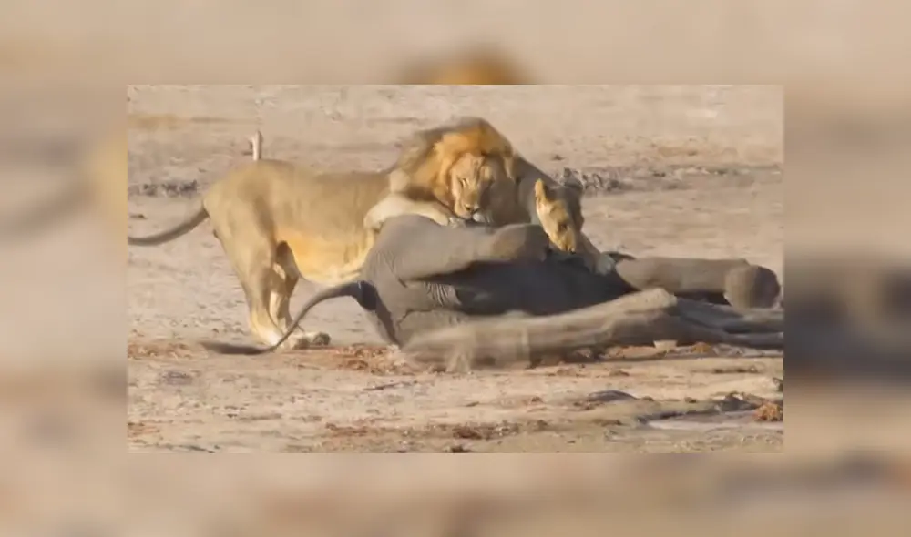 Desliza para ver el final de este video viral de YouTube. Foto: Captura.