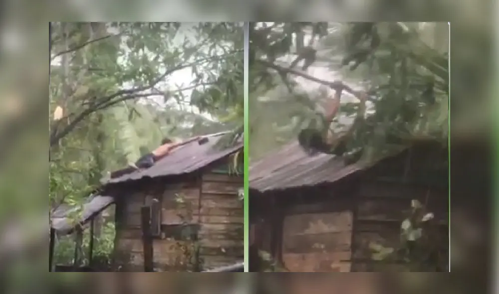 Foto: Captura Foto: Captura