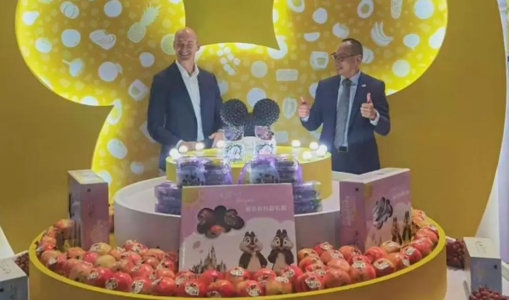 Arándanos china Arándanos china