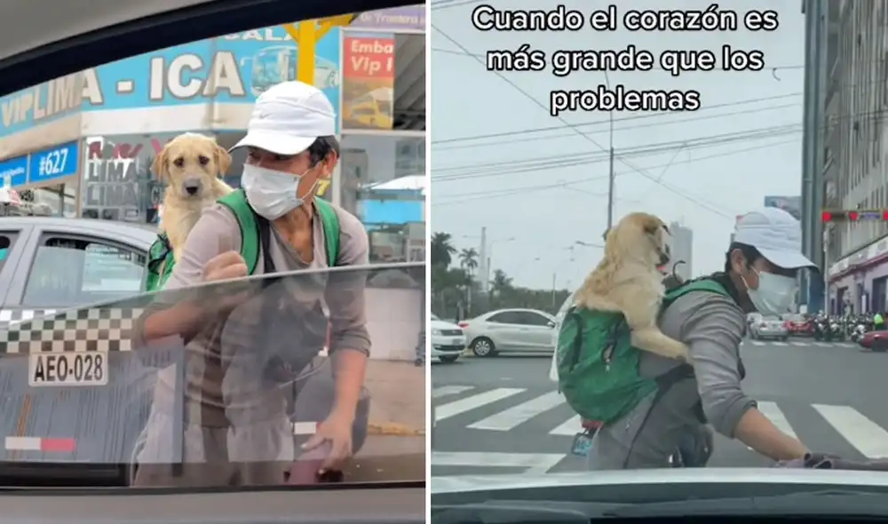 Miles de usuarios quedaron conmovidos al conocer esta tierna historia. Foto: captura de TikTok
