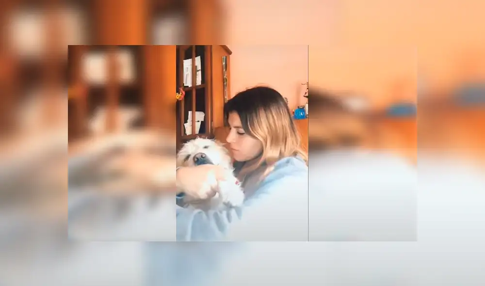 Desliza las imágenes para conocer el amoroso comportamiento de un perro al recibir un abrazo de su dueña. Foto: Captura.