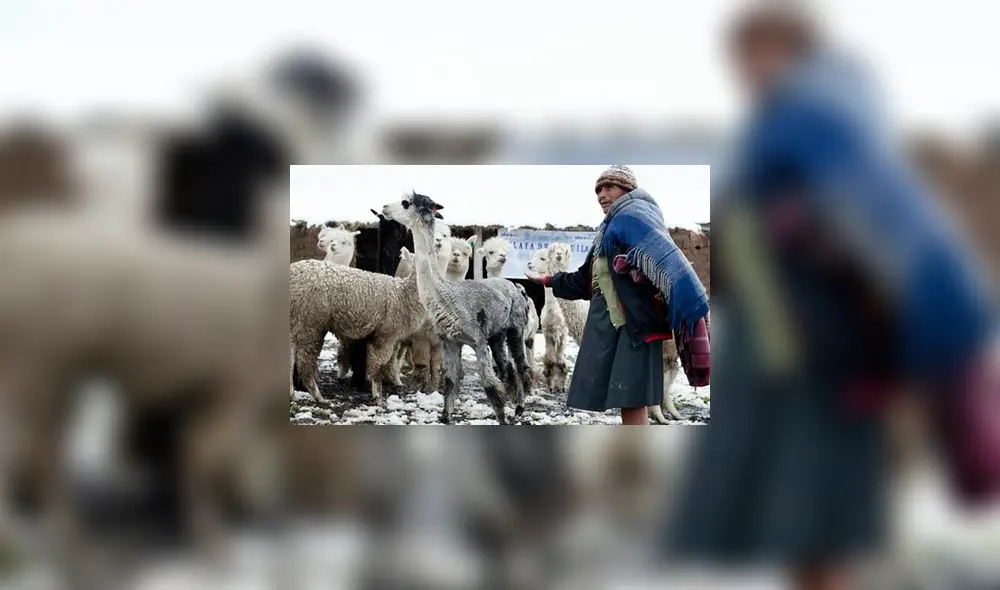 Se registraron temperaturas históricas en algunas localidades. Foto: Difusión