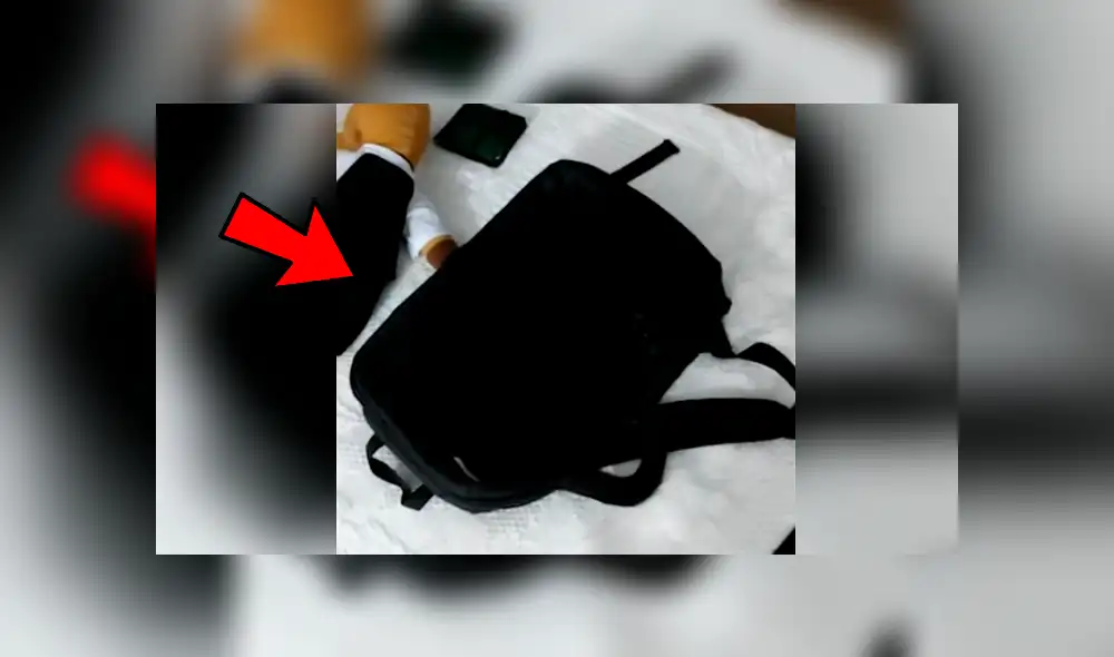 YouTube viral: escucha extraños ruidos en su maletín, lo revisa y descubre un peculiar ‘invitado’ YouTube viral: escucha extraños ruidos en su maletín, lo revisa y descubre un peculiar ‘invitado’