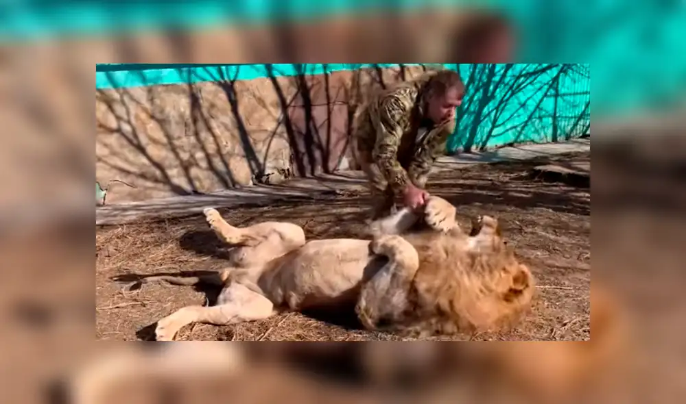 Desliza hacia la izquierda para ver el encuentro que se volvió viral en Facebook de un hombre con un perezoso león. Desliza hacia la izquierda para ver el encuentro que se volvió viral en Facebook de un hombre con un perezoso león.