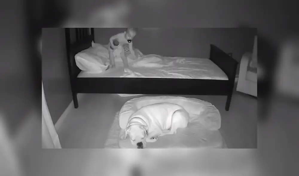 Un bebé no quería seguir durmiendo solo y se bajó de su cama para acostarse con su perro. Foto: YouTube
