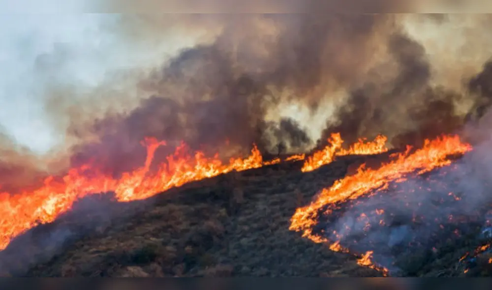 Fuego viene arrasando con hectáreas de pastizales en diversos sectores de Cusco.