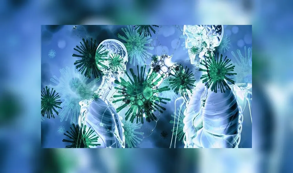 Los científicos aún indagan para conocer al 100% el coronavirus. Foto: Pixabay Los científicos aún indagan para conocer al 100% el coronavirus. Foto: Pixabay