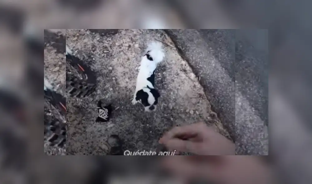 Desliza hacia la izquierda para ver más del video viral. Fotocaptura: YouTube Desliza hacia la izquierda para ver más del video viral. Fotocaptura: YouTube