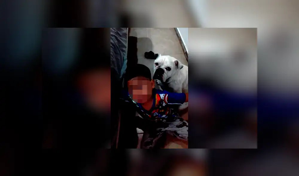 Desliza las imágenes para apreciar el comportamiento de un niño para que su madre castigue a su perro. Desliza las imágenes para apreciar el comportamiento de un niño para que su madre castigue a su perro.