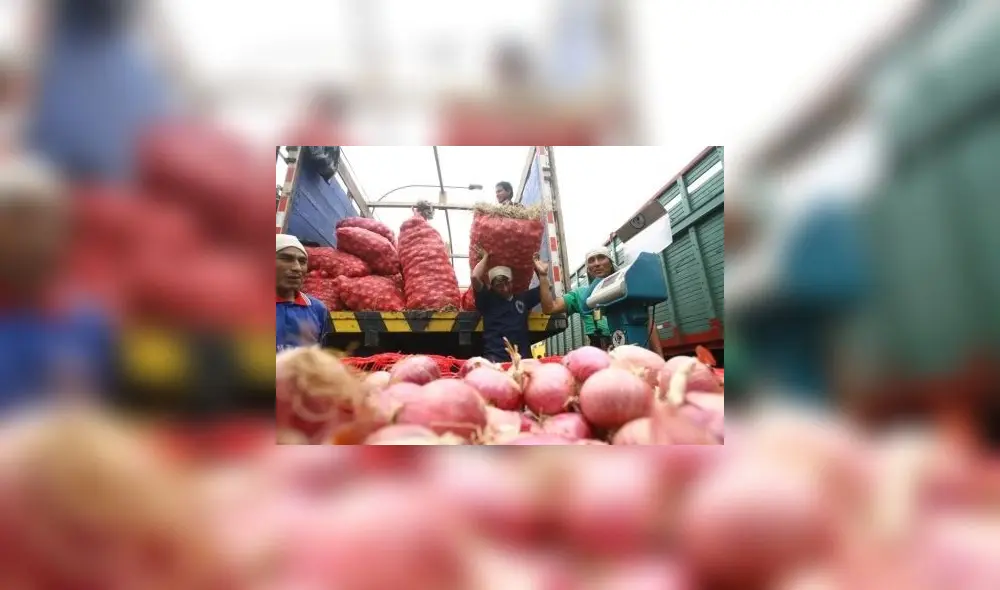 Paro de transportistas: ingreso de alimentos a mercados mayoristas cayó 30% ante bloqueo de carreteras Paro de transportistas: ingreso de alimentos a mercados mayoristas cayó 30% ante bloqueo de carreteras