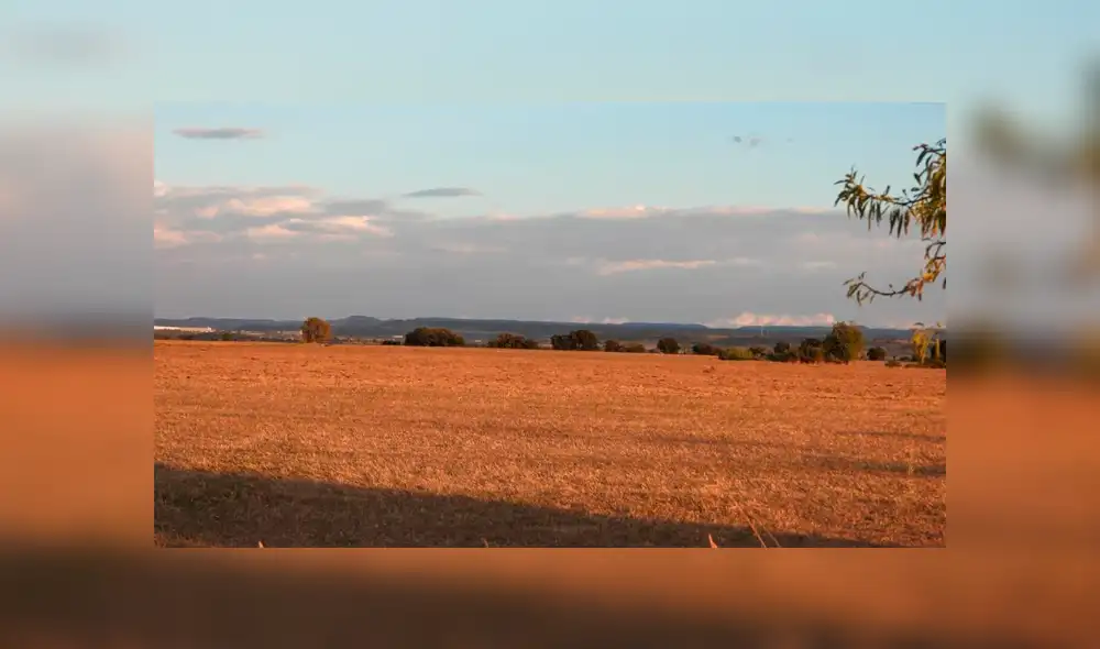 Desliza las imágenes hacia la izquierda para conocer la verdadera respuesta sobre este desafío de Facebook. Foto: La Vanguardia.
