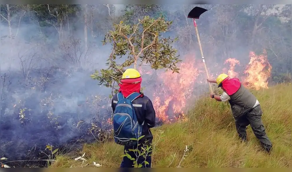 Incendio en el Parque Nacional Madidi no puede ser controlado. Foto https://www.paginasiete.bo