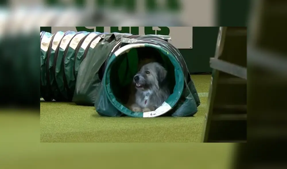 Desliza para ver los detalles del video viral publicado en YouTube. Foto: Captura. Desliza para ver los detalles del video viral publicado en YouTube. Foto: Captura.