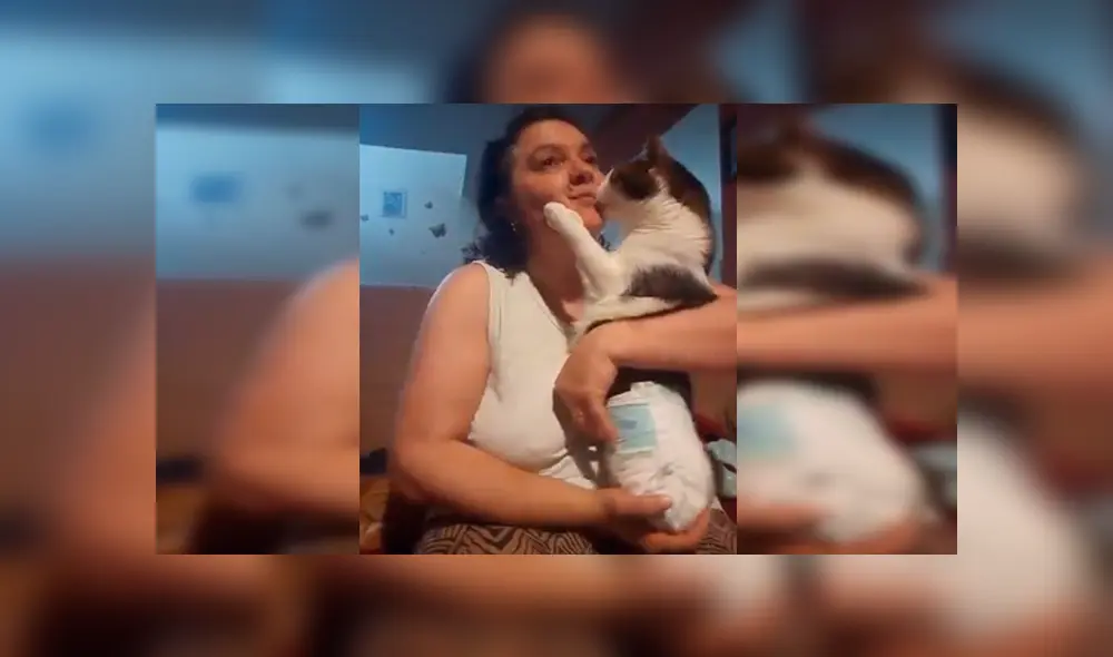 Facebook: señora encuentra a gato callejero, lo cuida y este se lo agradece con tierno beso [VIDEO] 