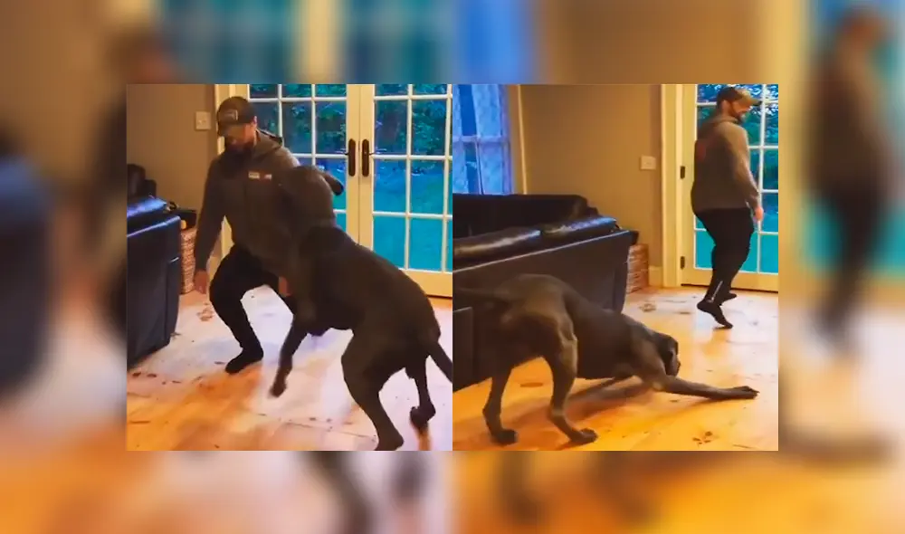 Desliza para ver lo momentos para emotivos del tierno video que se hizo viral en Facebook. Desliza para ver lo momentos para emotivos del tierno video que se hizo viral en Facebook.