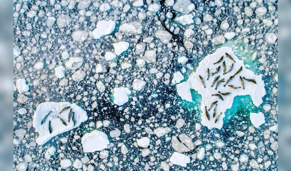 Paisajes, colores y fenómenos únicos: postales de ensueño en el certamen de National Geographic [FOTOS]