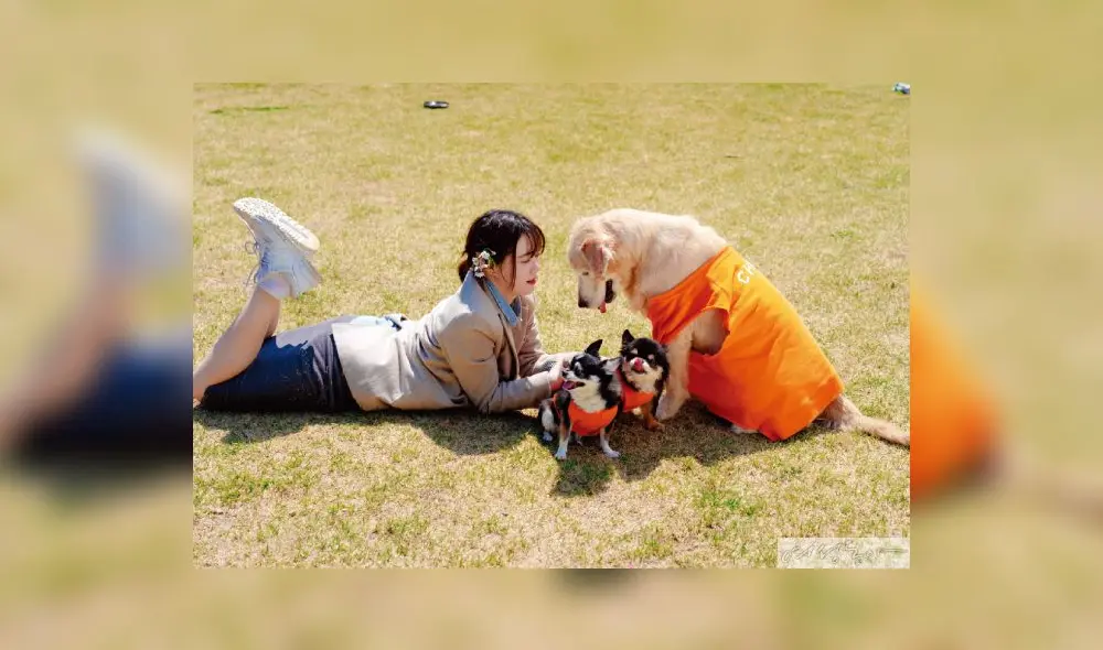 Goo Hye Sun también habló sobre su faceta de escritora y su libro de ensayos “I Am Your Pet”.