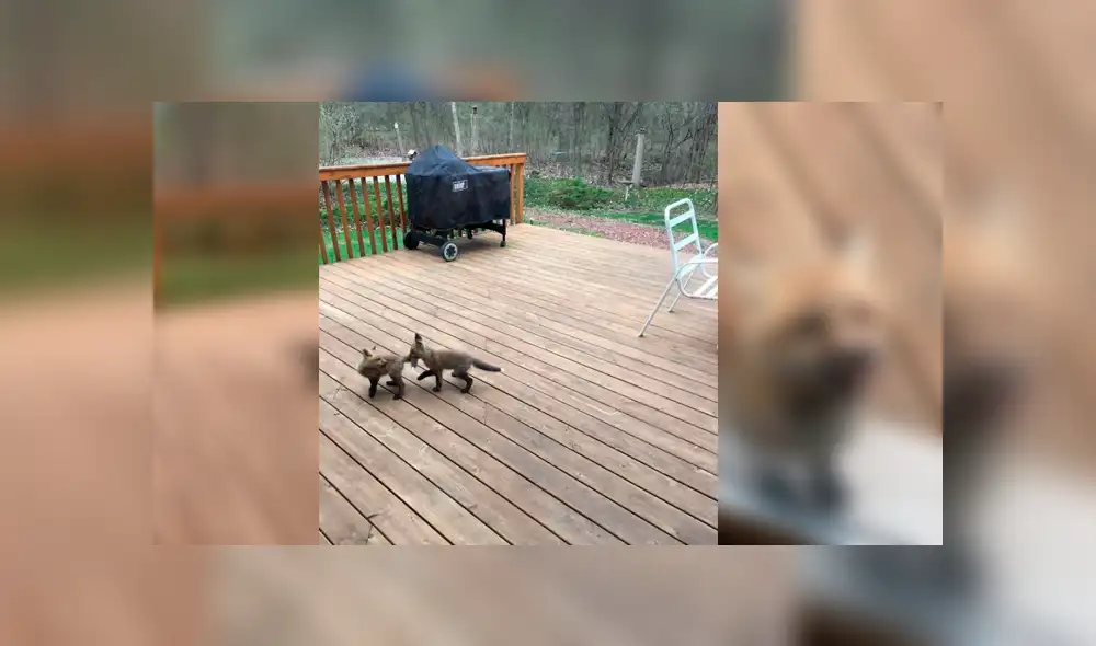 Desliza para ver los detalles del video viral publicado en Facebook. Foto: Captura.