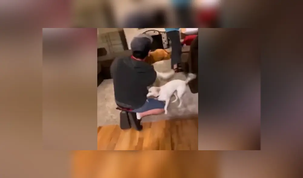 Desliza para ver los momentos más tiernos del video que se hizo viral en YouTube. Desliza para ver los momentos más tiernos del video que se hizo viral en YouTube.