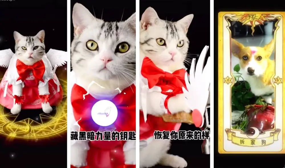 Desliza para ver las imágenes del viral de Facebook. Foto: Captura/TikTok