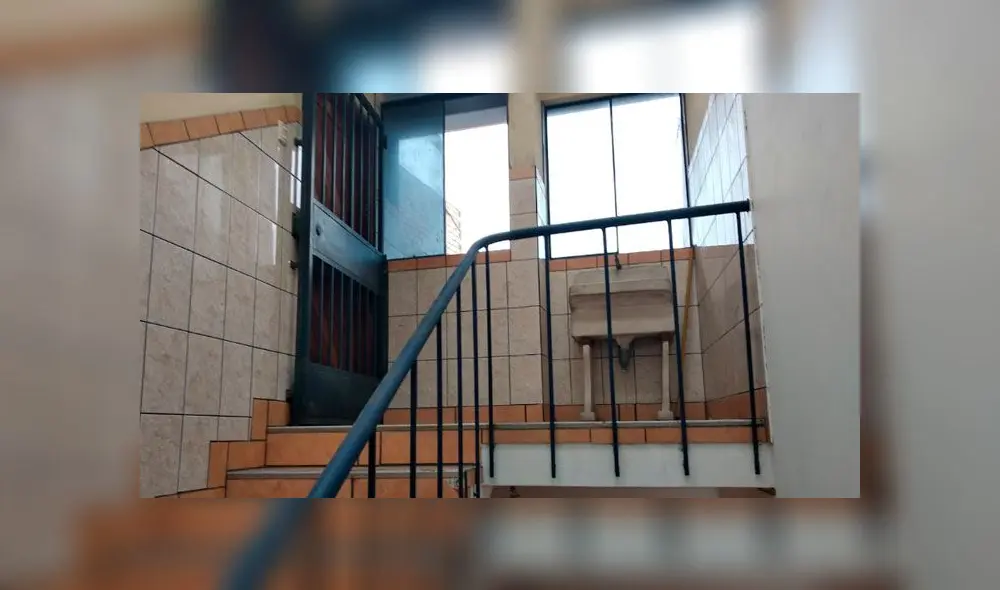 Restacan a cachorro abandonado que habría vivido entre restos de otros perros [FOTOS y VIDEO]