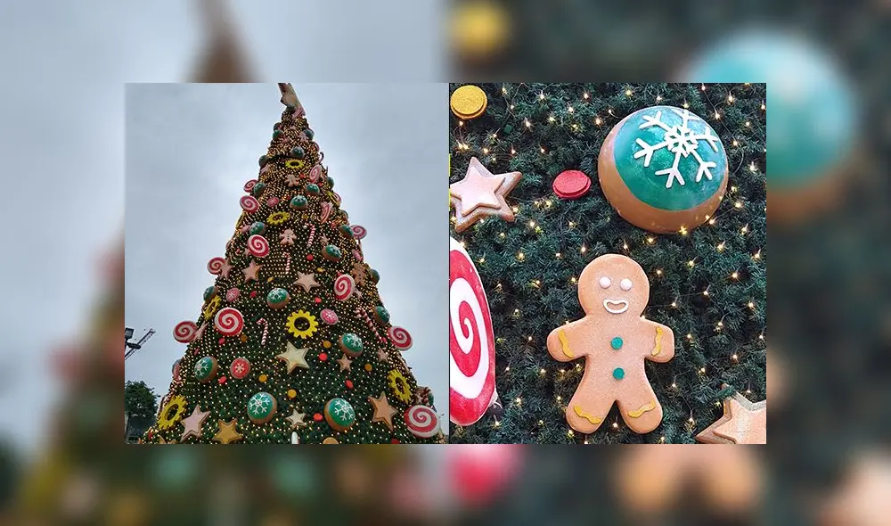 El Moto G8 Plus posee triple cámara ultra gran angular con tecnología Quad Pixel. Foto: Daniel Robles.