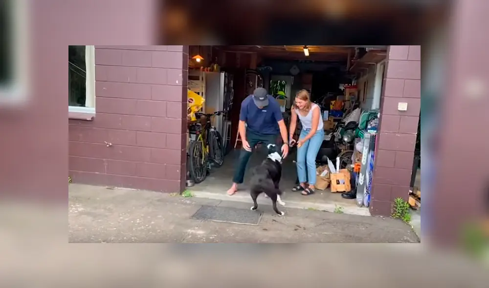 Desliza hacia la izquierda para ver más del viral Desliza hacia la izquierda para ver más del viral