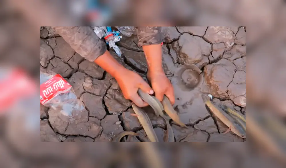 Desliza hacia la izquierda para ver las imágenes del viral de YouTube.