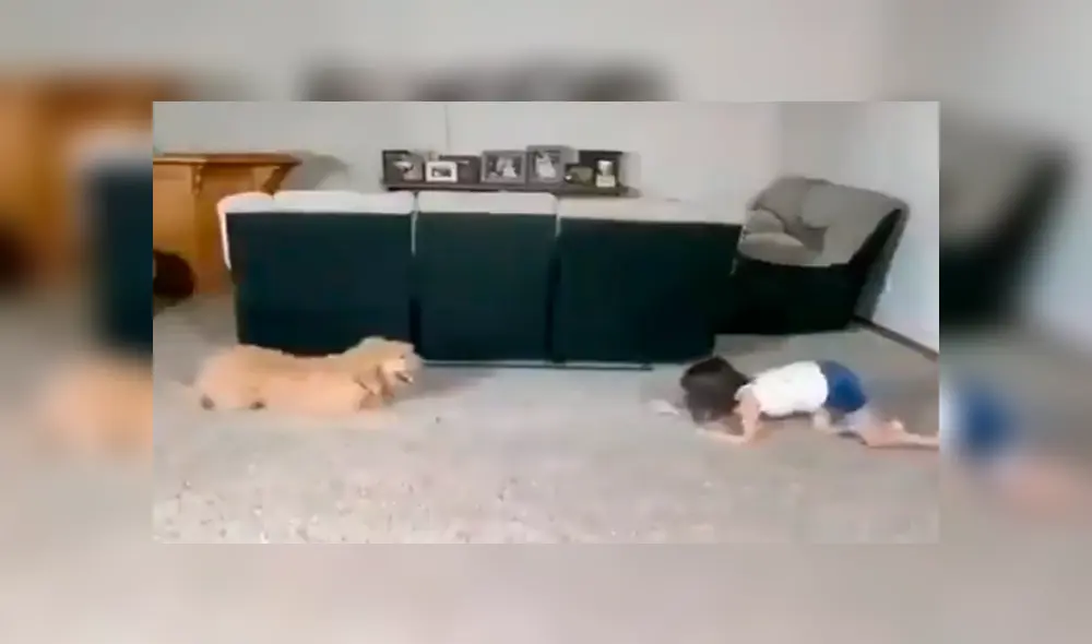 En Facebook, una madre se sorprendió al revisar las imágenes de su cámara de vigilancia y captar una tierna escena de su hija. En Facebook, una madre se sorprendió al revisar las imágenes de su cámara de vigilancia y captar una tierna escena de su hija.