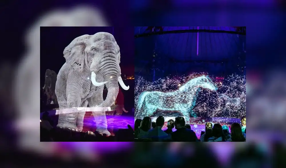 YouTube: circo de Alemania sorprende con show de animales en hologramas [VIDEO]