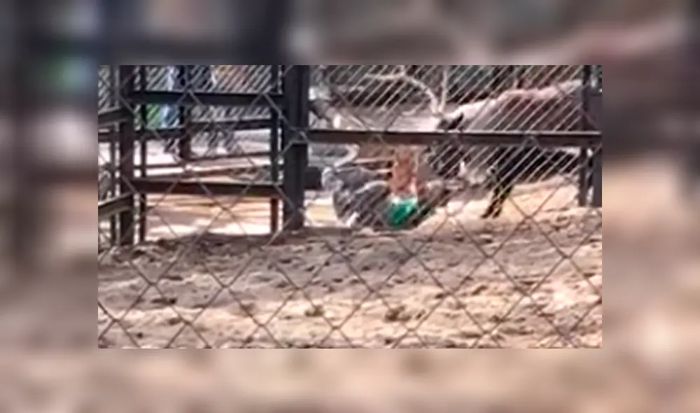 Un video viral de Facebook registró el instante en que un empleado de un zoológico fue brutalmente atacado por un ciervo, que se enfureció con solo verlo entrar a su hogar. Un video viral de Facebook registró el instante en que un empleado de un zoológico fue brutalmente atacado por un ciervo, que se enfureció con solo verlo entrar a su hogar.