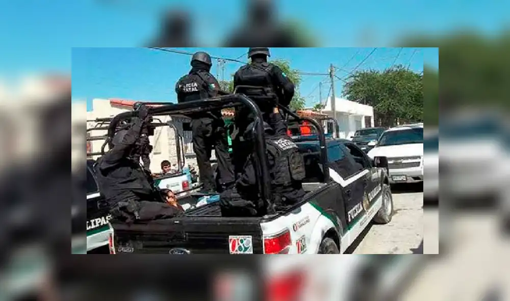 Canes adiestrados para la detección de explosivos o drogas detectan algo extraño en vehículo de maestra. (FOTOS: Difusión) Canes adiestrados para la detección de explosivos o drogas detectan algo extraño en vehículo de maestra. (FOTOS: Difusión)