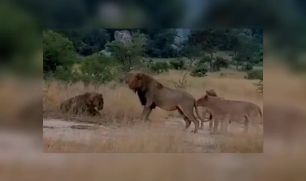 Desliza la imagen de YouTube para verlas todas. Desliza la imagen de YouTube para verlas todas.