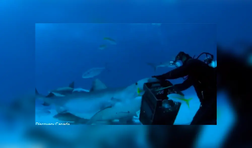 Desliza la imagen de YouTube para verlas todas. Foto: captura