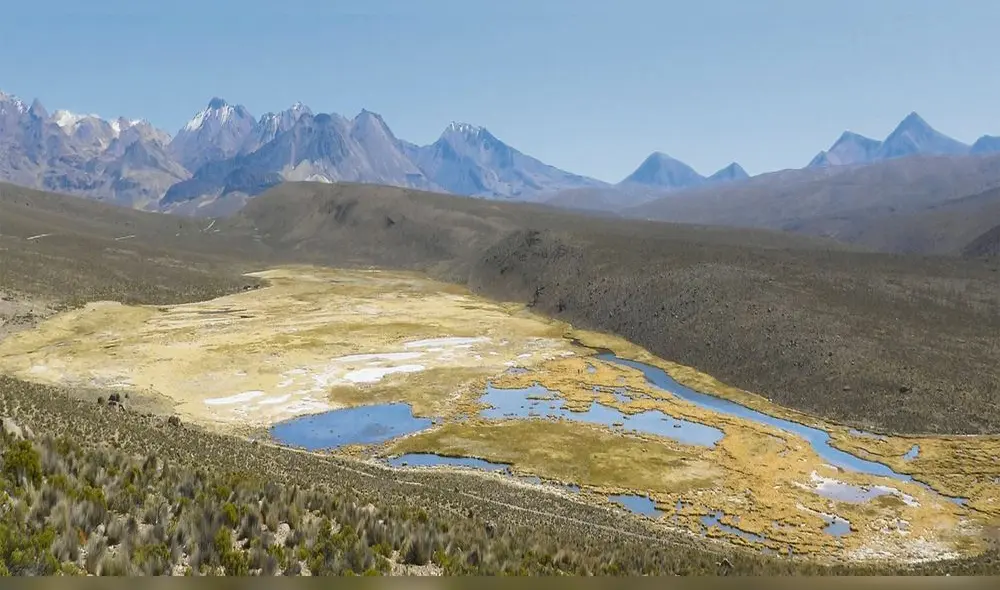 poco a poco. Bofedal de Paucarani, en la zona altoandina de la provincia de Tacna. Sus bolsones de agua van desapareciendo. poco a poco. Bofedal de Paucarani, en la zona altoandina de la provincia de Tacna. Sus bolsones de agua van desapareciendo.